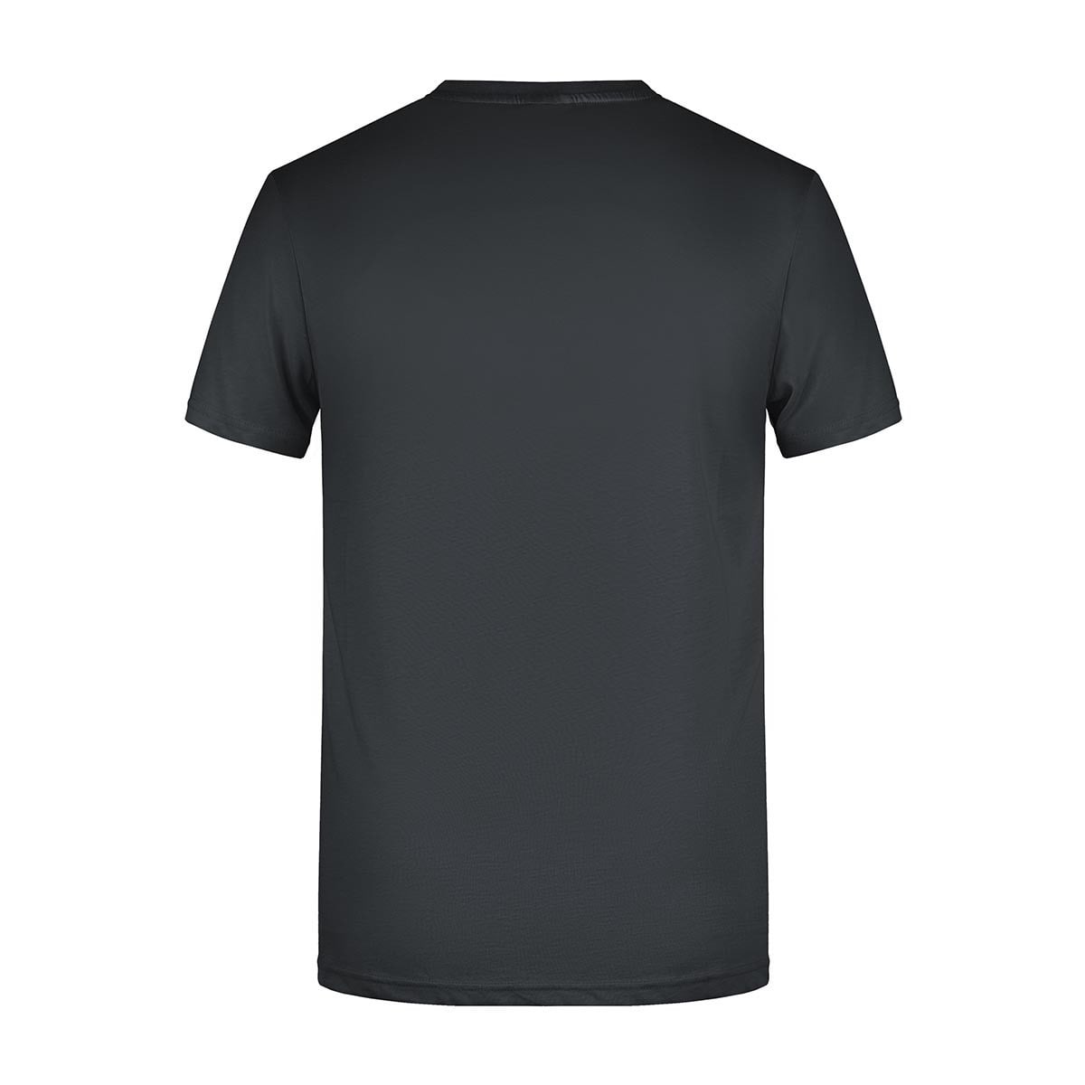 James & Nicholson Men's Basic T - JN8008