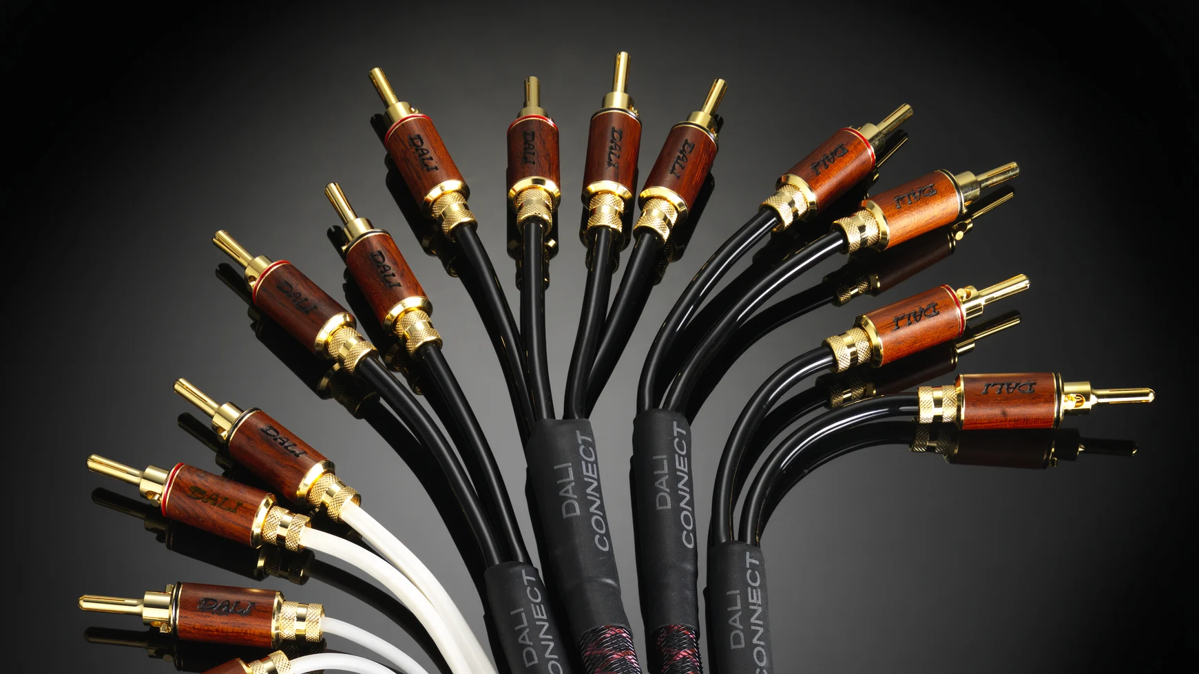 The essential guide to audio cables and connectors
