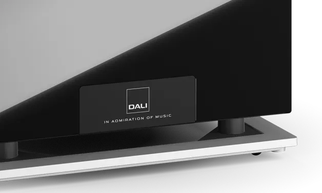 Dali SUB P-10 DSS - Class D amplifier