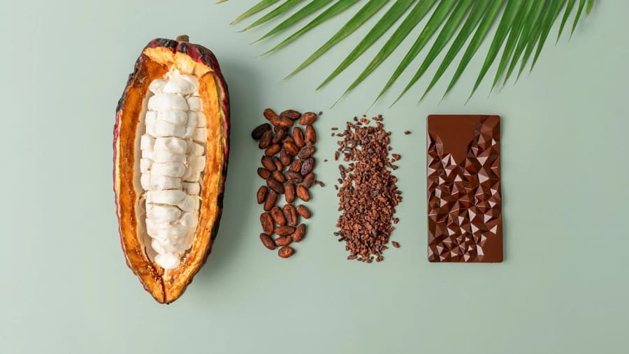 Namô Chocolateria