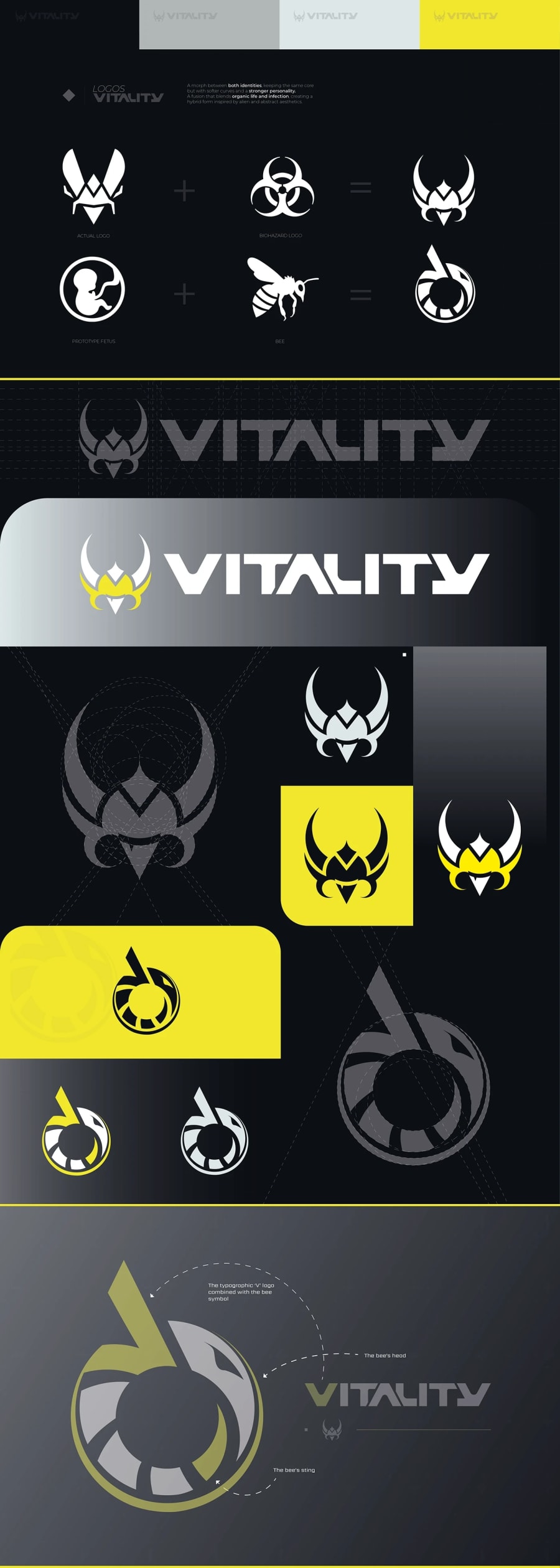 VITALITY PROTOCOL — Seasonal Branding