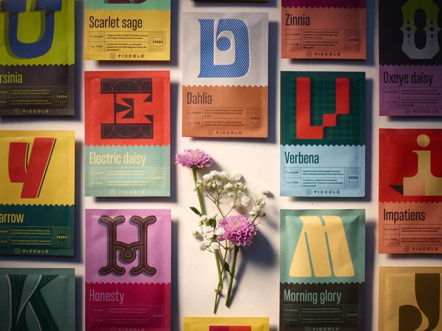 PICCOLO SEEDS - The Botanical Alphabet