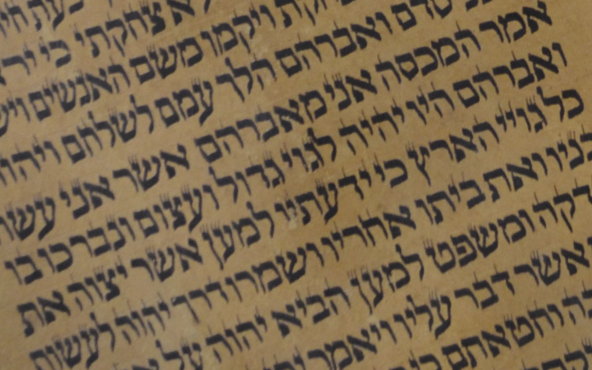 Torah Hebrew Bible