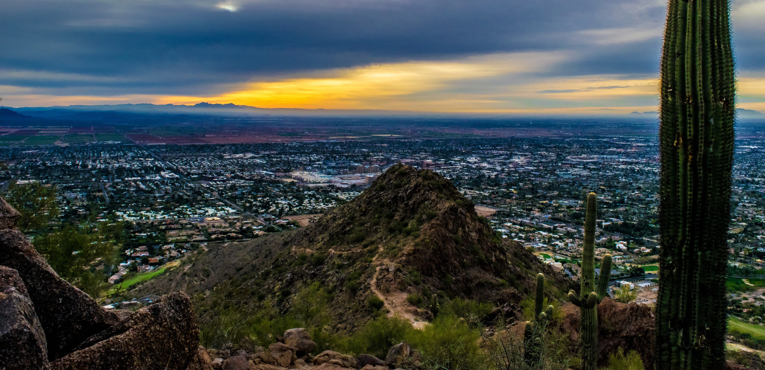 Phoenix skyline