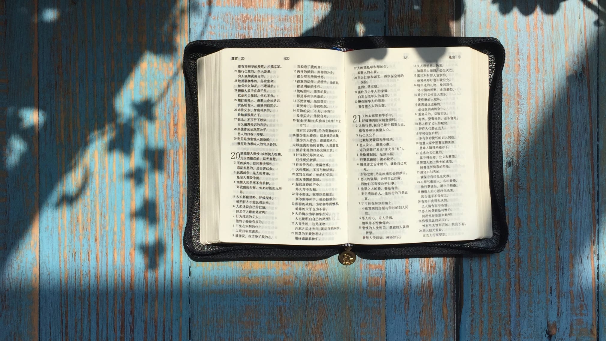 Open bible in Chinese