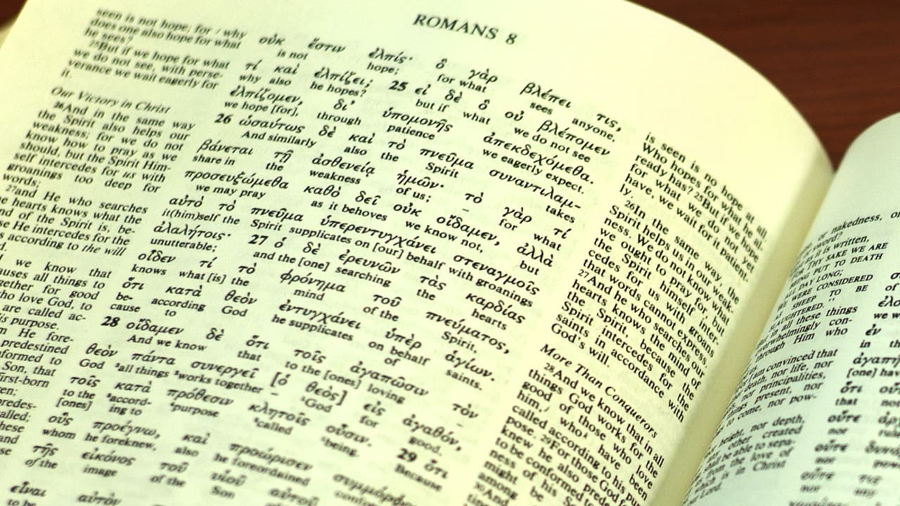 Salvation Grammar