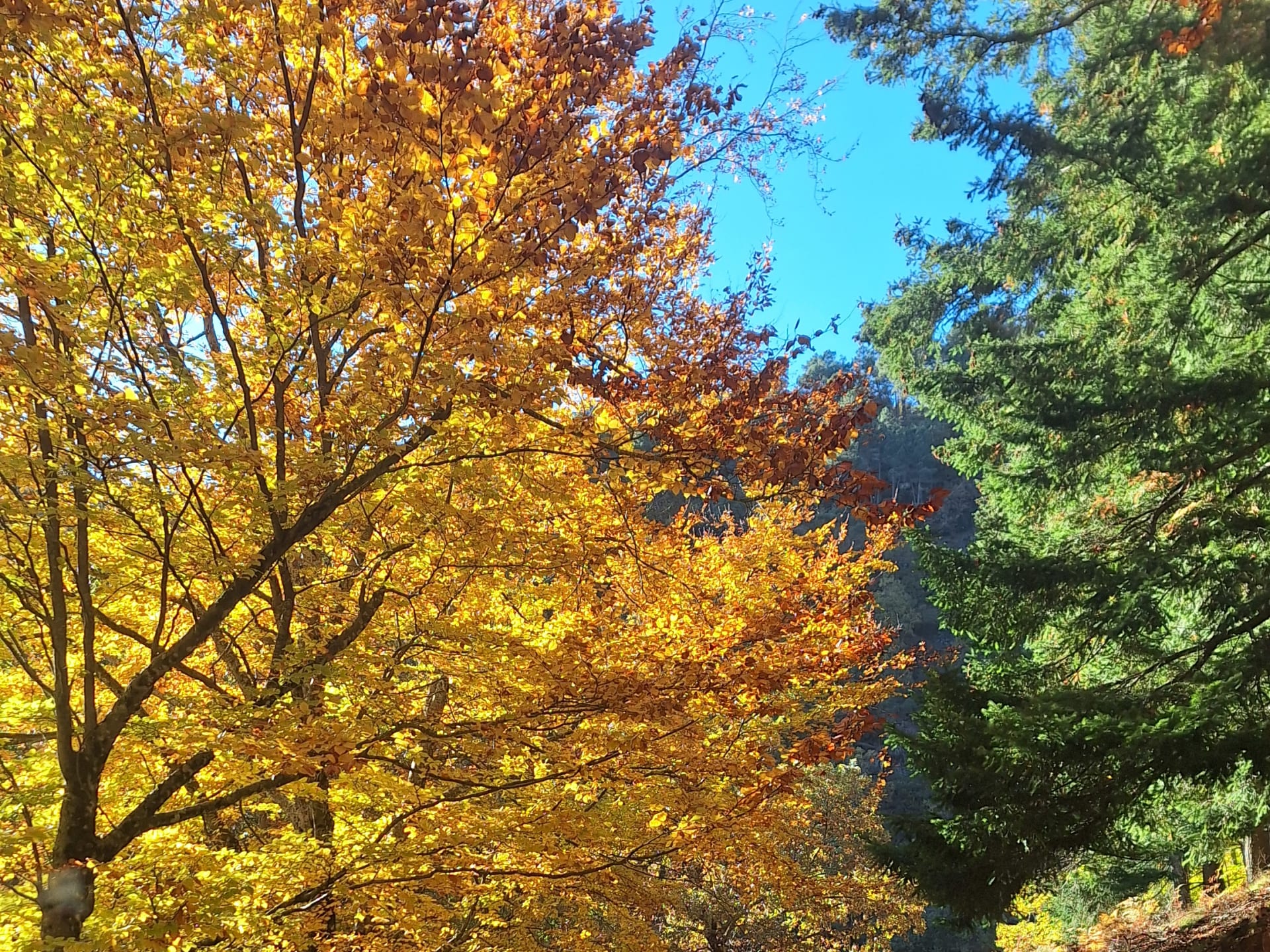 Autumn Colours Special in Serra da Estrela