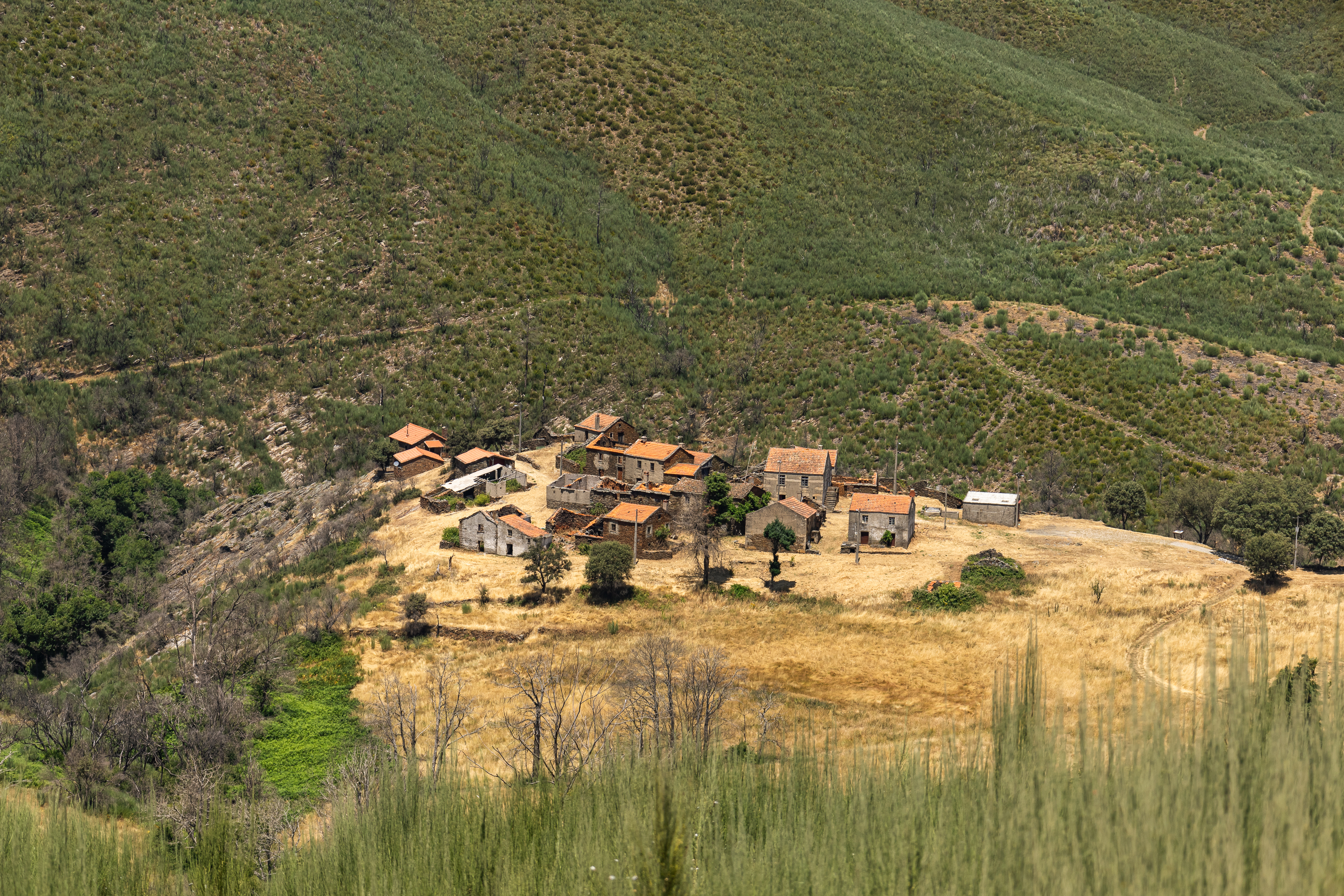 La ruta de la Quinta da Taberna