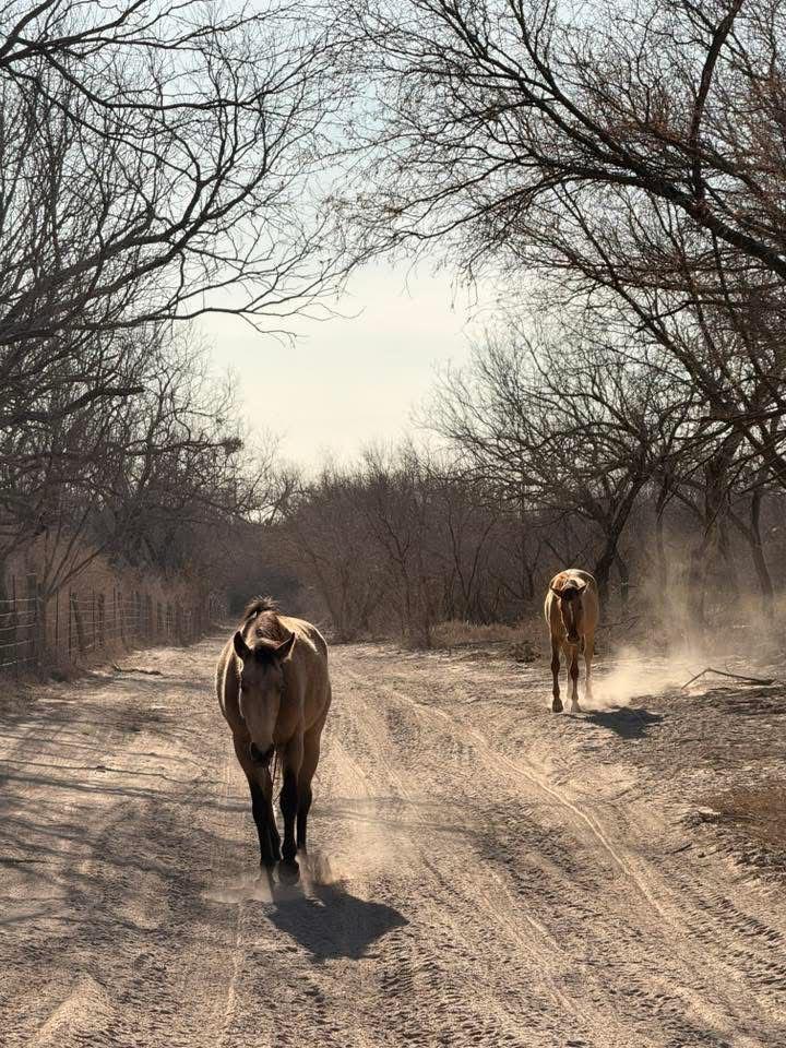 Rancho El Pato