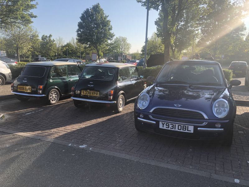 MINI R50 at Himley Hall MINI show 2019