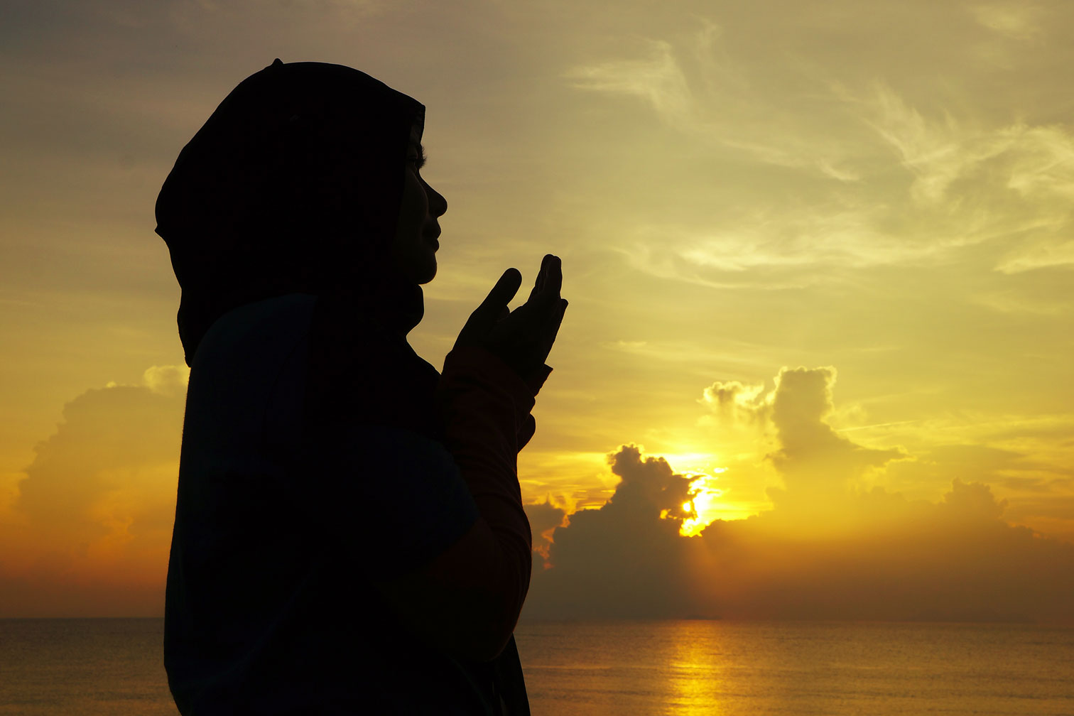 Construir una relación con el Imam Mahdi (p)