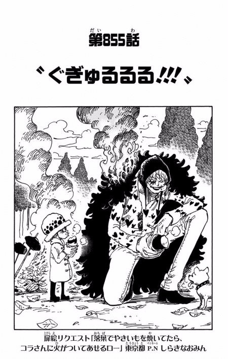 One Piece Cover Chapter 855 Gugyurururu One Piece Cover Chapter 855 Gugyurururu