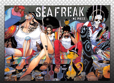 One Piece Cover Chapter 809 Master Nekomamushi