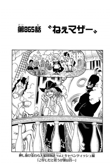 One Piece Cover Chapter 865 Hey Mother