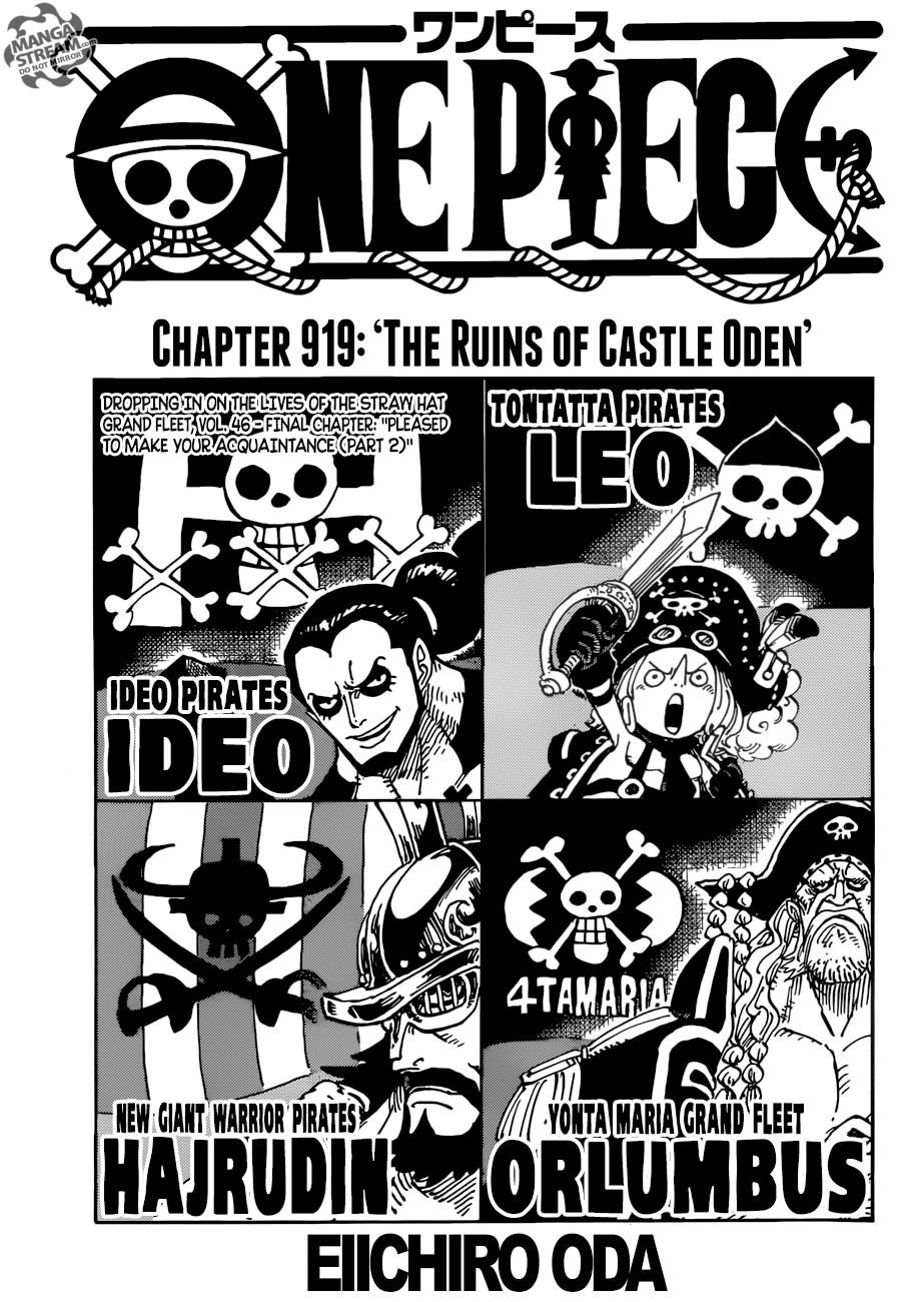 One Piece Cover Chapter 919 The Ruins Of Castle Oden