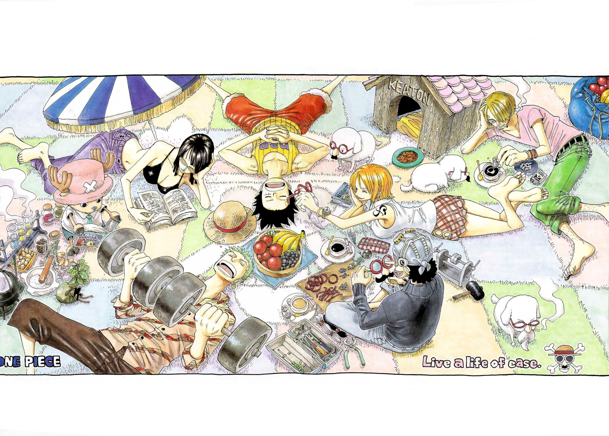 One Piece Cover Chapter 284 Thanks