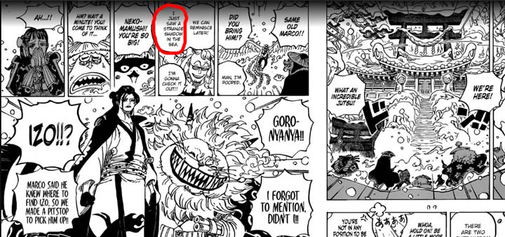 One Piece Cover What Did Marco Saw Back There That He Needs To Go Back