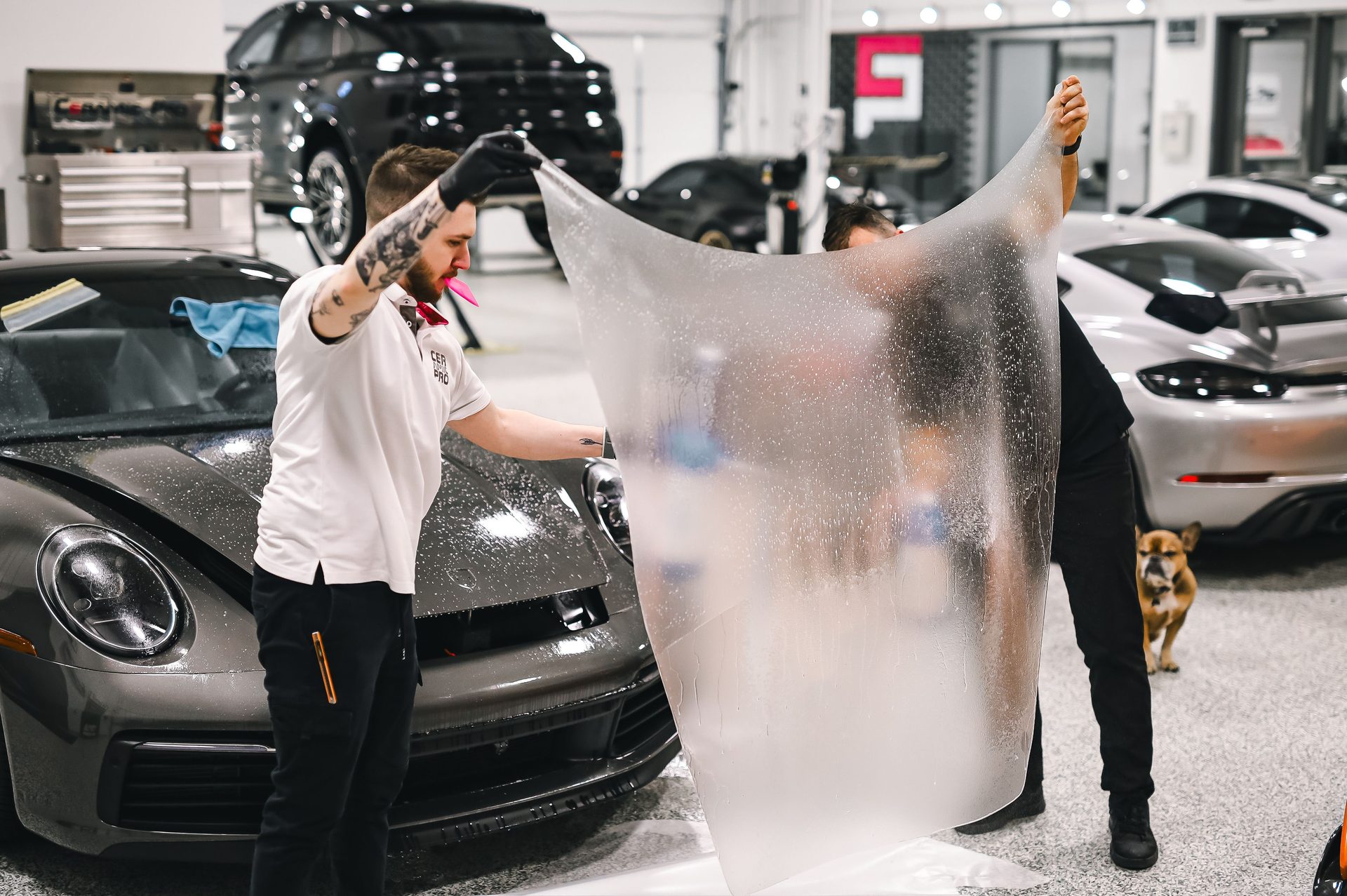 Tint Removal Services