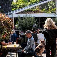 Five Points Courtyard