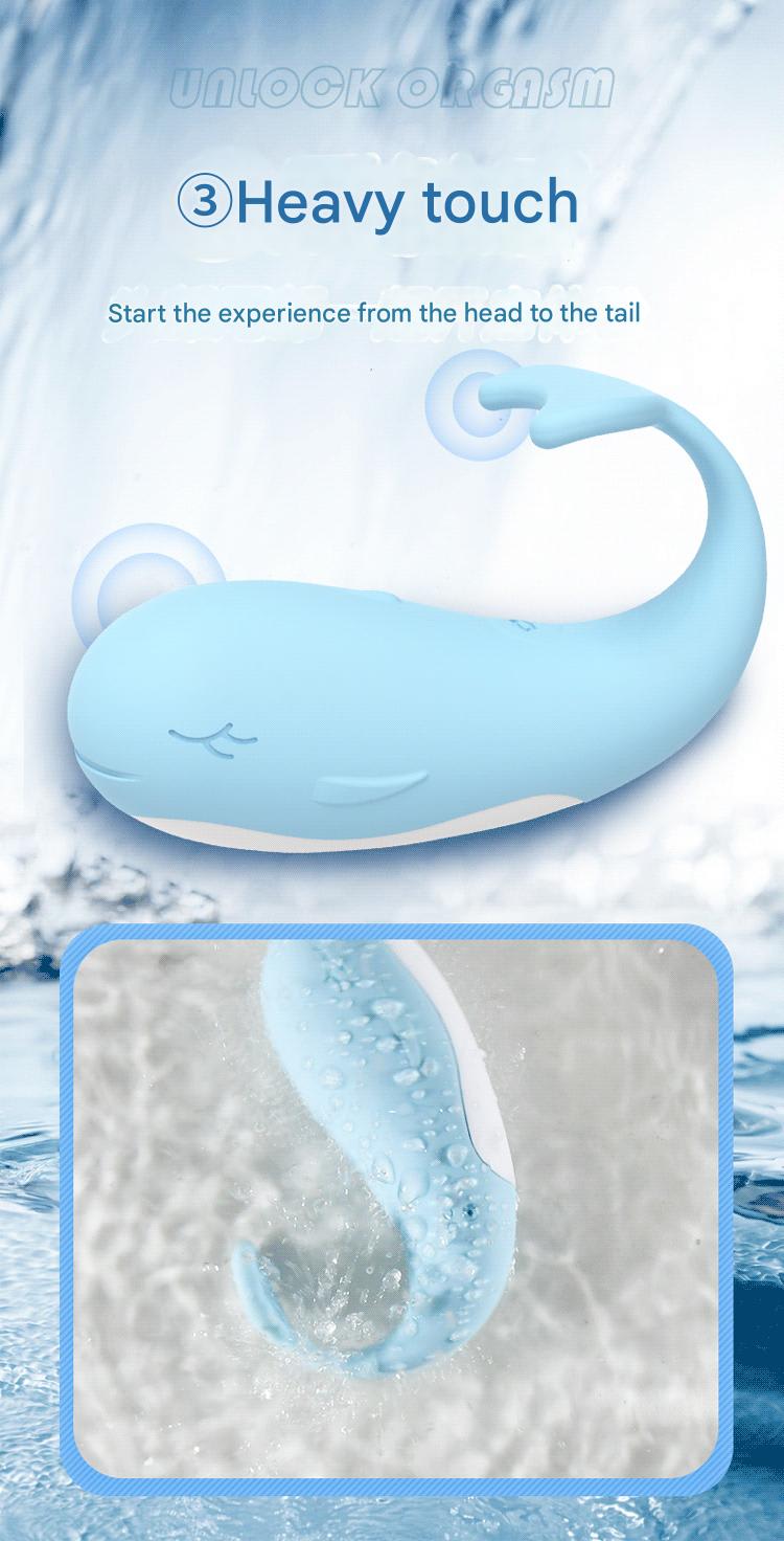 Product Pictures 6