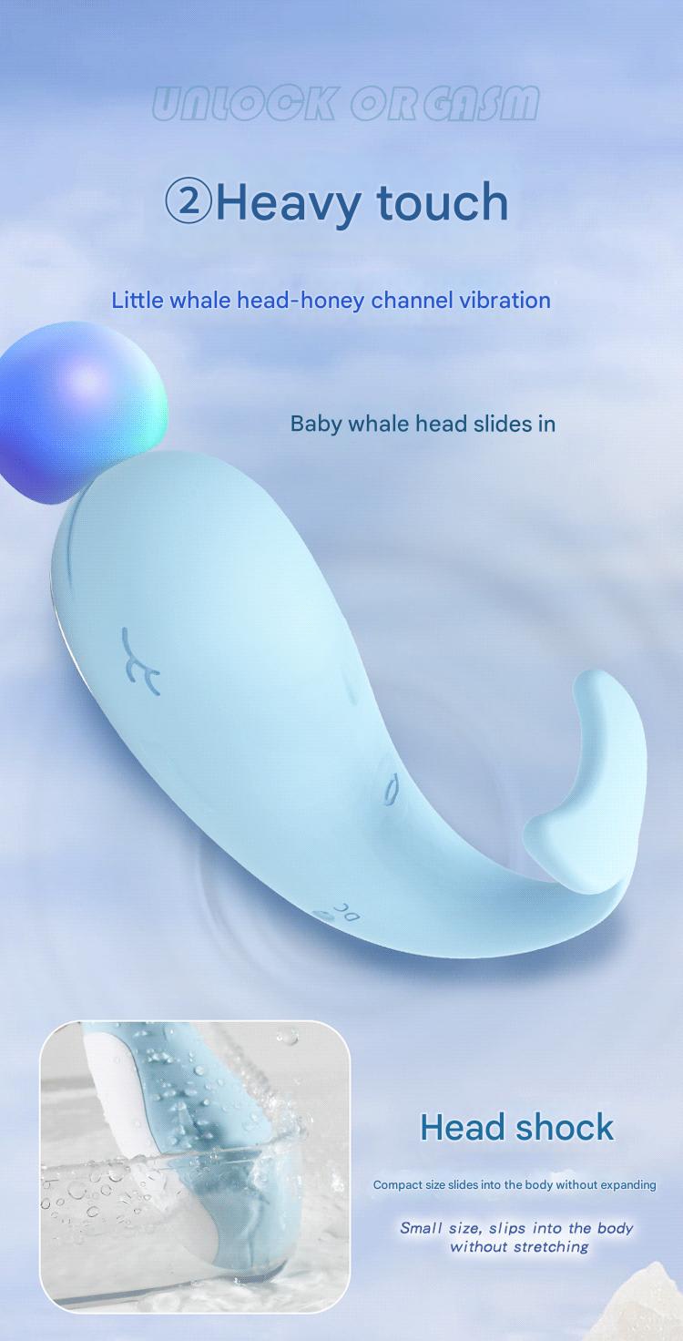 Product Pictures 3