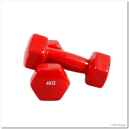Sports And Fitness Premium Quality 4kg Vinyl Dumbbell 1 Pcs