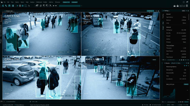 Real-time monitoring and risk detection interface