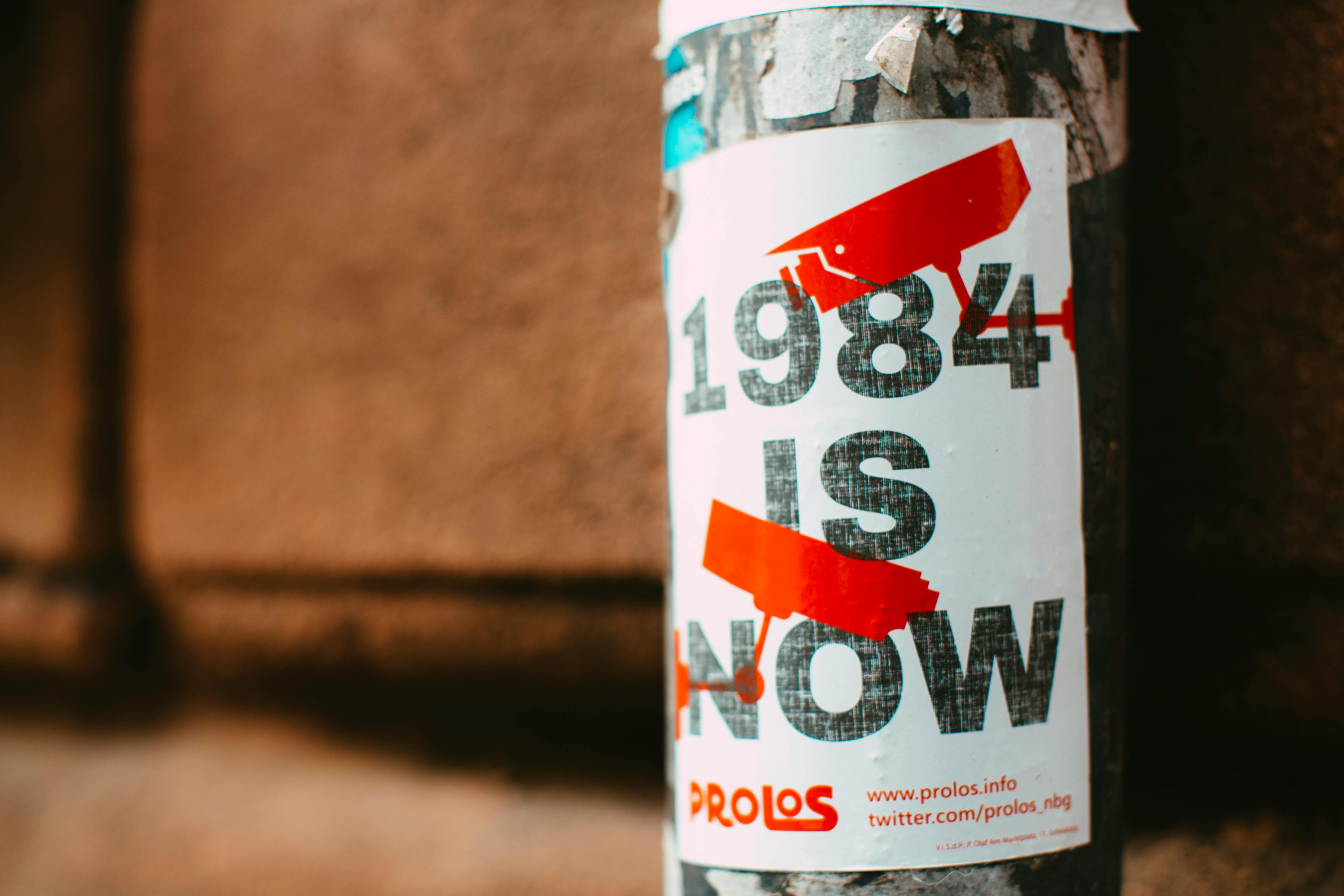 Poetry and Politics: Propaganda, Witness, or Both?