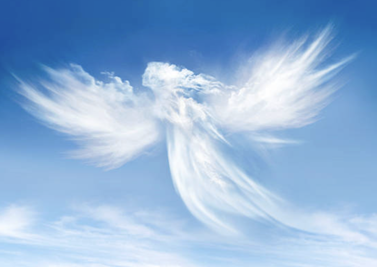 BROKEN WINGS