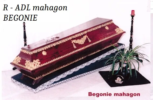 R - ADL mahagon BEGONIE