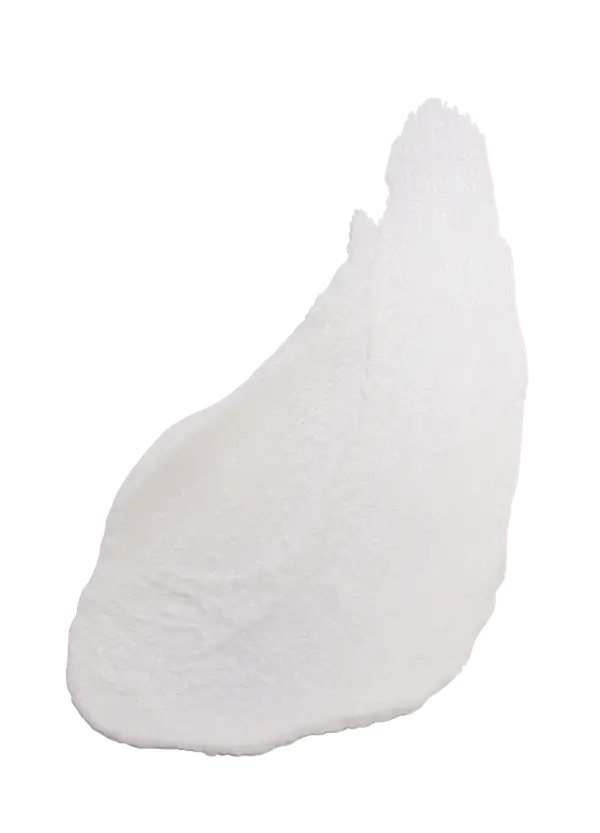 Mast
