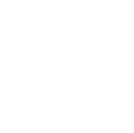 Logo Instituto Nano blanco