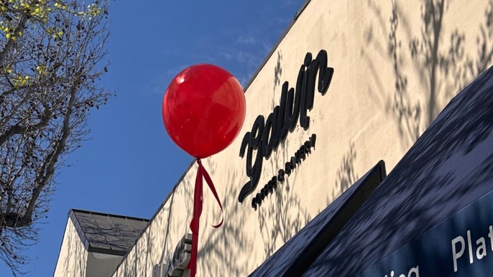 Galvin Coffee & Bakery photo 1
