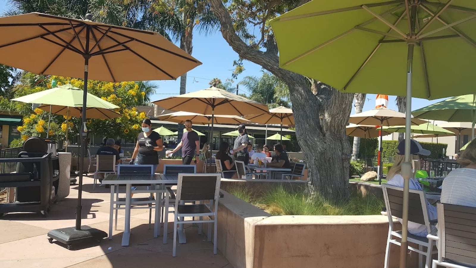 Waypoint Café | Camarillo Airport photo 1
