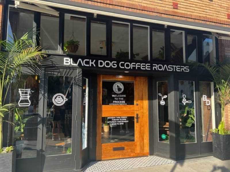 Black Dog Coffee Roasters - Photo