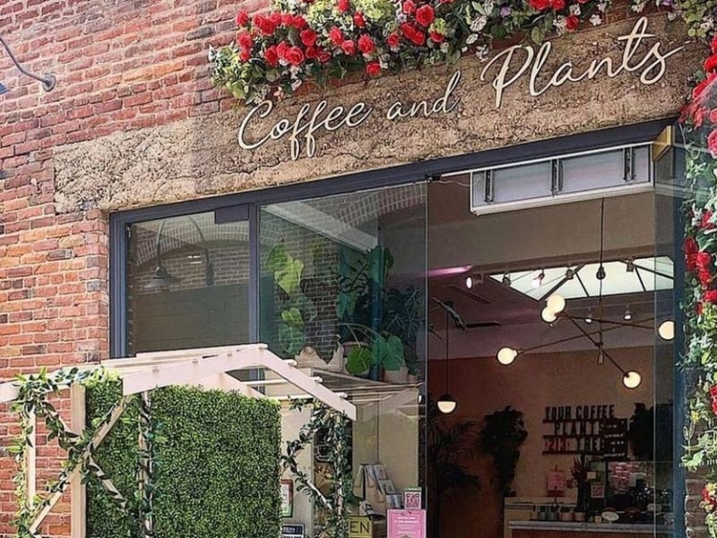 Coffee and Plants - Photo