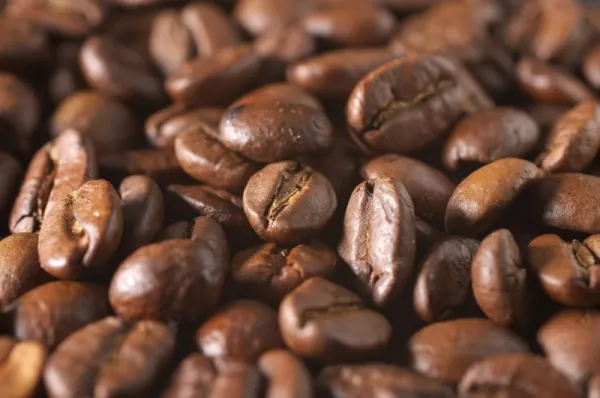 Coffee Beans Guide: Types, Origins, Roasts & How to Choose (2026)
