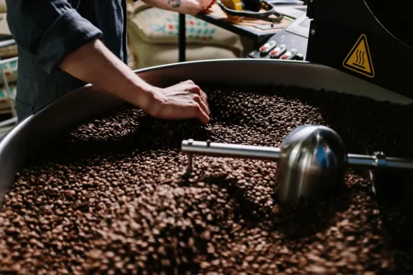 Best Coffee Machines: 10 Top Picks Tested by a Barista (Updated 2026)