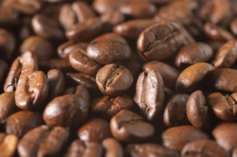 Various types of coffee beans and roasting levels arranged for comparison