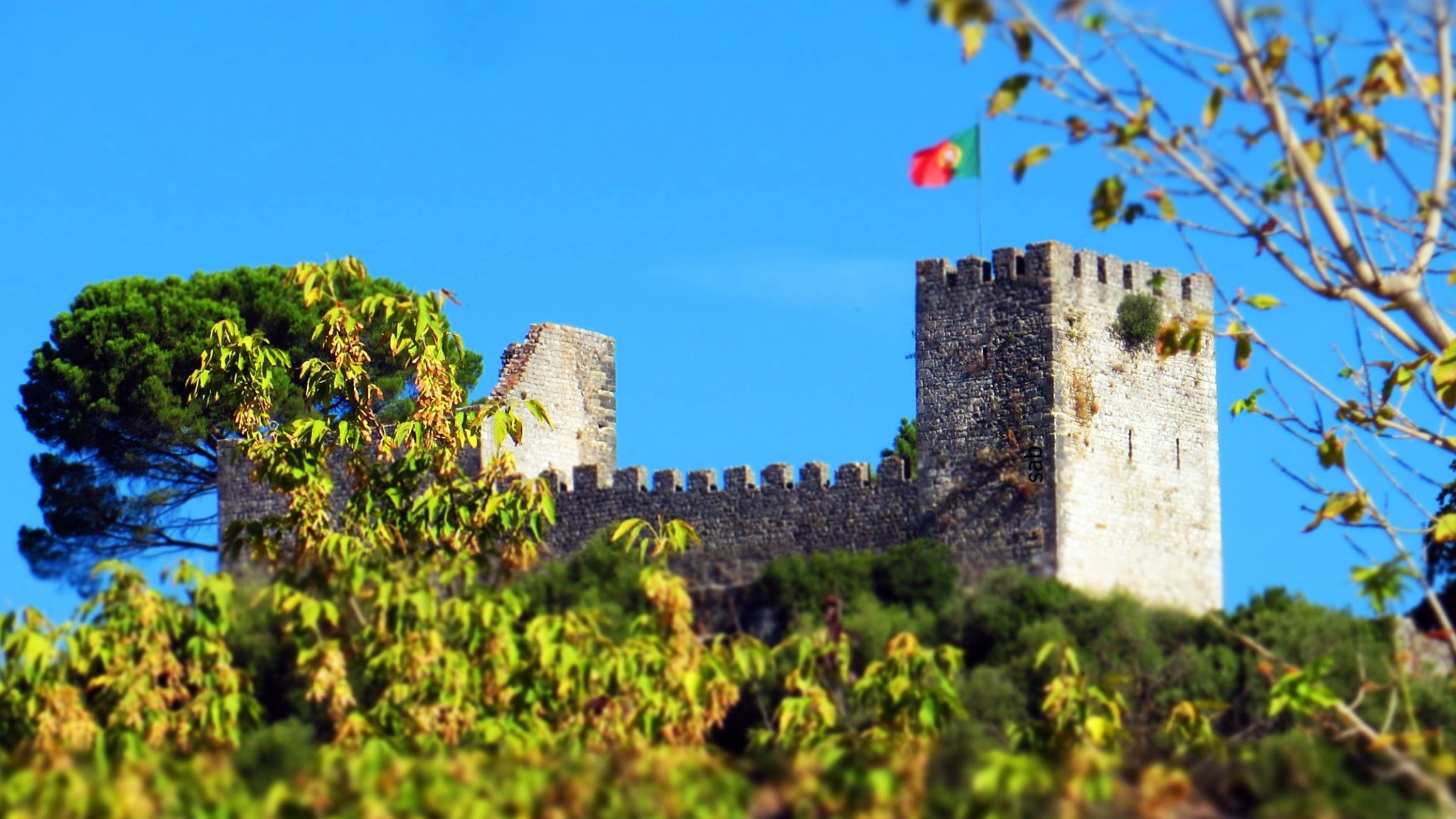 Castelo de Alcanede