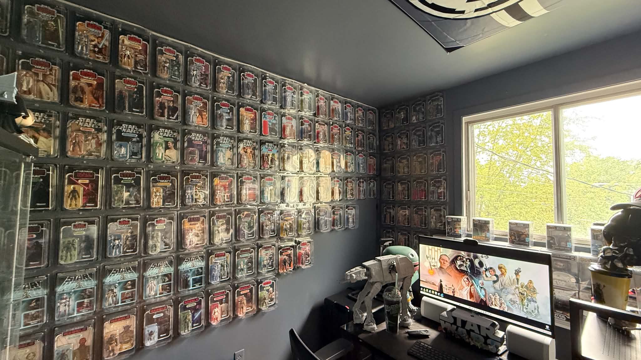 The collection