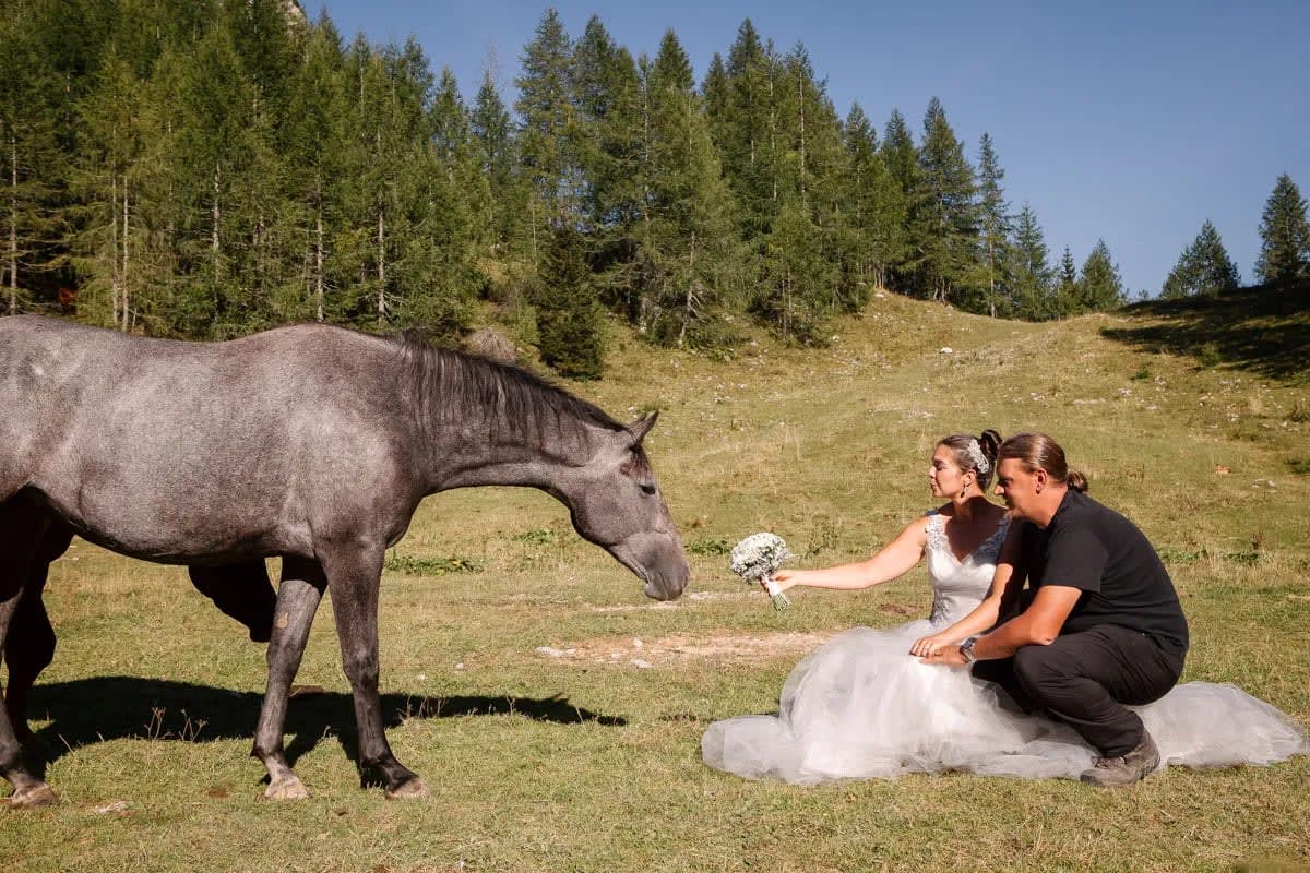 A bride and groom kneeling on the grass, interacting with a horse in a forested area.