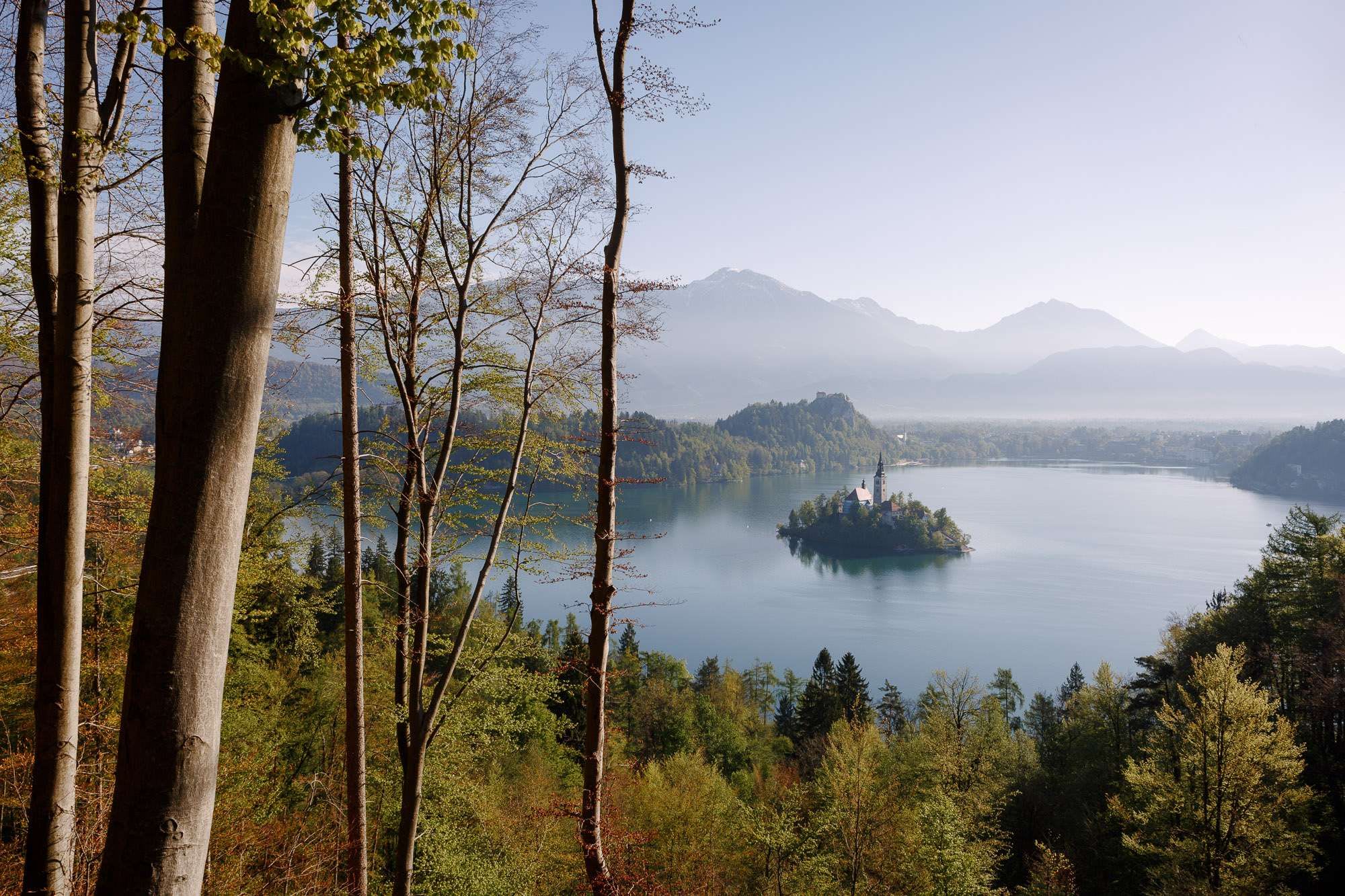A scenic view of Lake Bled with an island featuring a church, surrounded by calm water and distant mountains.