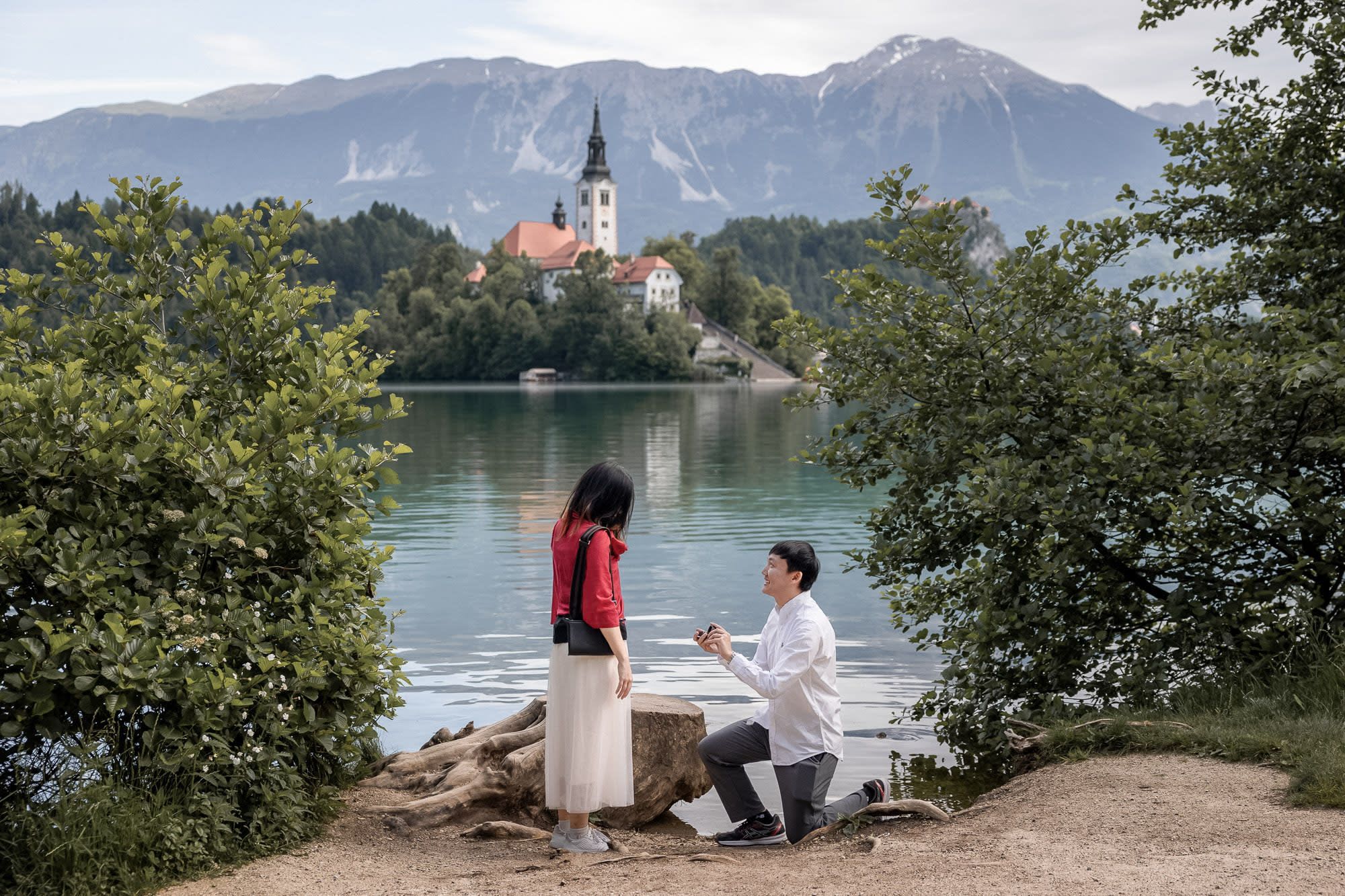 Marriage proposal at the lakeshore of Lake Bled with Bled Island church, mountains, and Bled Castle in the background.
