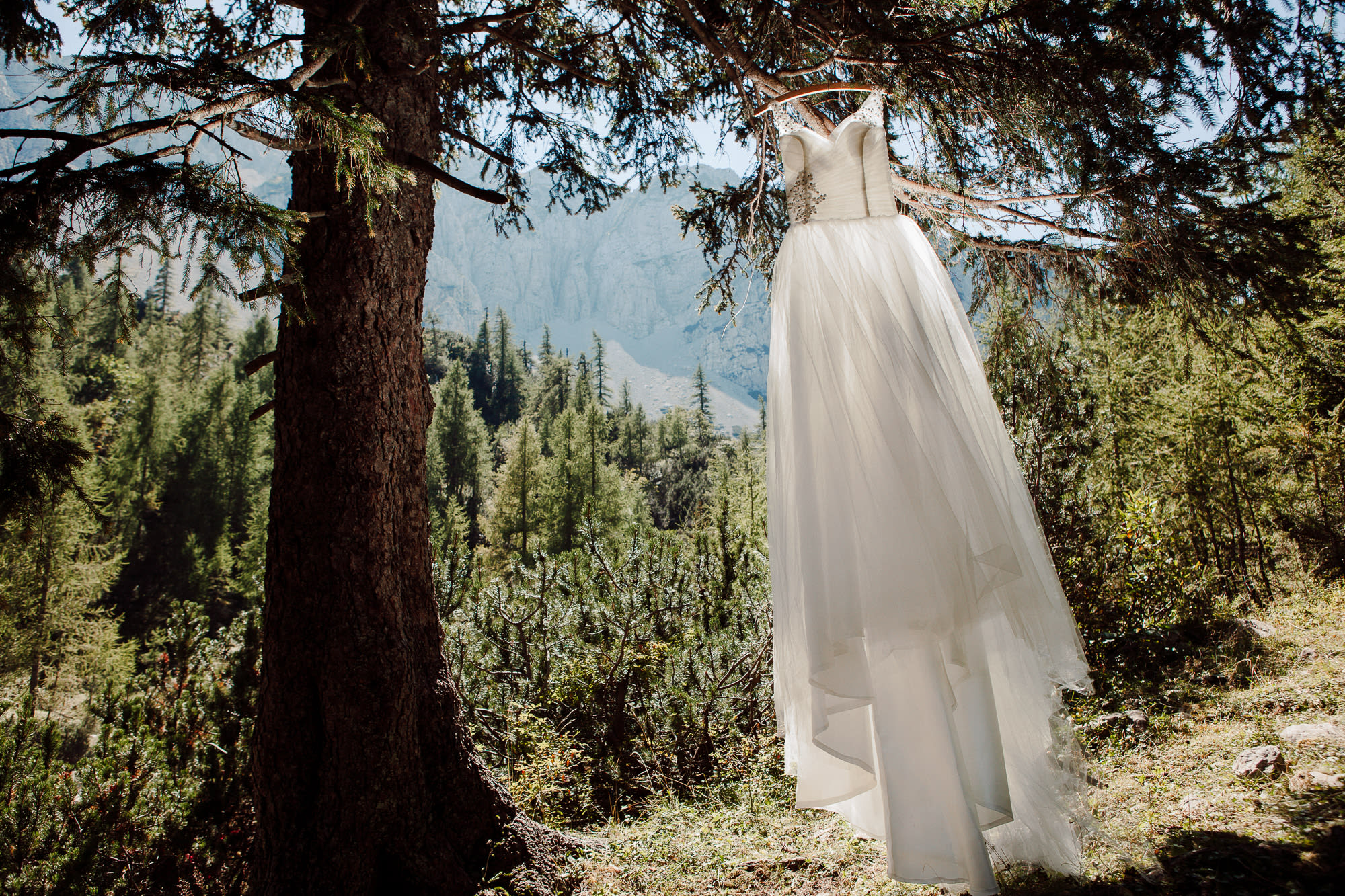 Wedding dress hanging from a tree in an alpine forest in Slovenia with mountain scenery in the background.