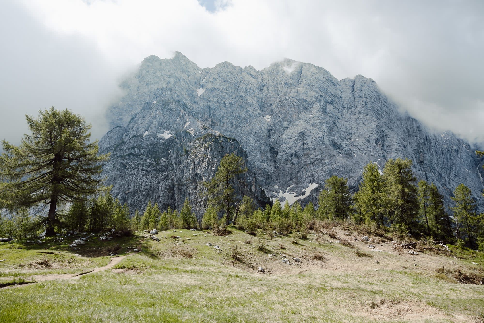 Quiet alpine meadow in the Slovenian Alps with forest, mountain peaks, and a dramatic natural landscape.