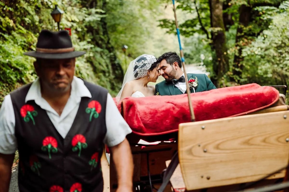 A bride and groom lovingly sitting close in a horse-drawn carriage with lush green trees surrounding them.