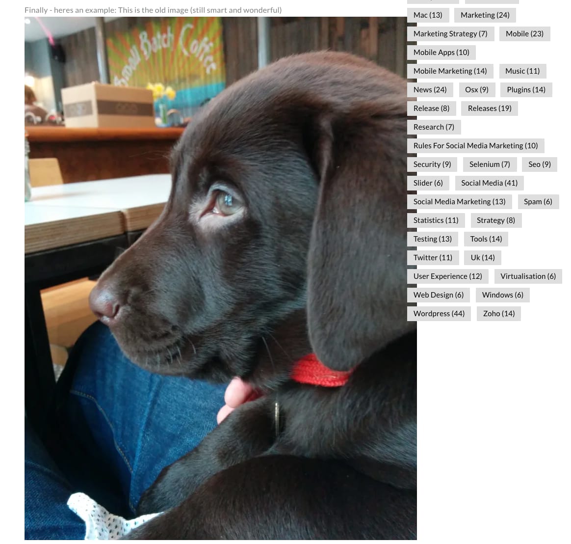 Escaping Ella Escaping Ella