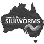 Aussie fauna silkworms