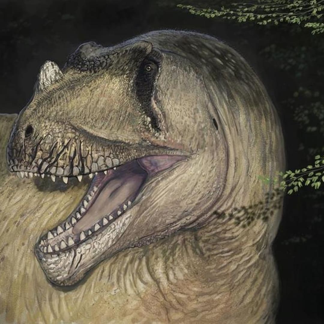 Penemuan Spesies Dinosaurus Baru dari Foto Fosil yang Hilang di Perang Dunia II